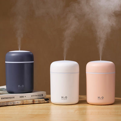 Müşteri Logo Mini Ultrasonik Atomizer USB Ev Otel Araba Okulu için Hava Nemlendiricisi