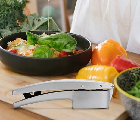 Ücretsiz numune 2 in 1 El Sarımsak Baskı makinesi Mutfak Sarımsak Çöpçüreci Taşınabilir Sarımsak Döşeme Maç Makine Çöpçüreci Sebze Araçları