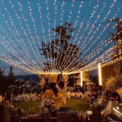 Dış Su geçirmez 300m Mor LED Peri Işıkları Noel Tatil Dekorasyonu için Çizgi Girlanda